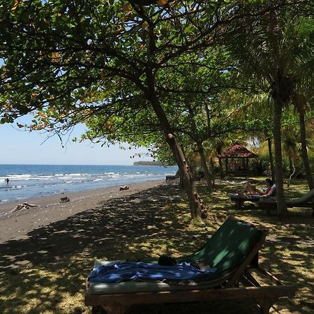 Bali Sandat Tejakula Exterior foto